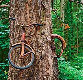 bike in tree - via blogspot