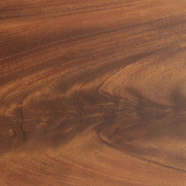 PIUMA MOGANO_<em>MAHOGANY FEATHER</em>