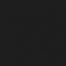 RAL 9017