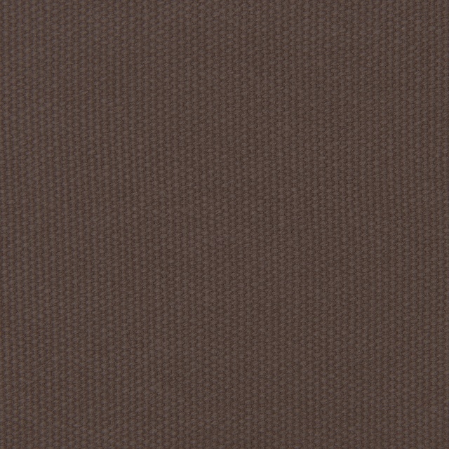 C_06