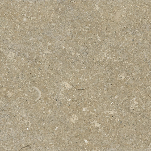 VERDE FOSSILE_FOSSIL GREEN