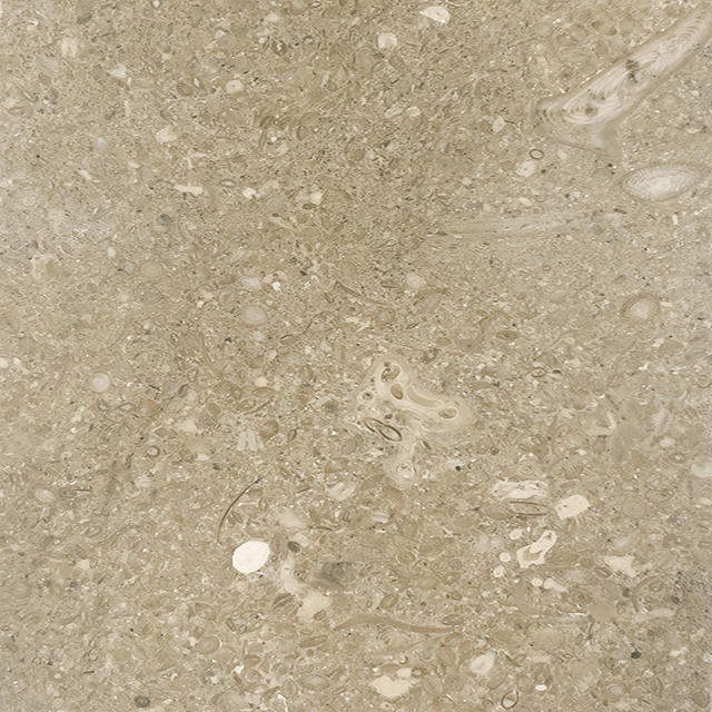 VERDE FOSSILE_FOSSIL GREEN